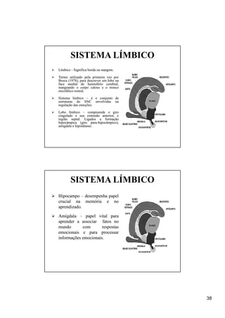 SISTEMA LÍMBICO
Límbico - Significa borda ou margem.

Termo utilizado pela primeira vez por
Broca (1978), para descrever um lobo na
        1978),
face medial do hemisfério cerebral,
margeando o corpo caloso e o tronco
encefálico rostral.
           rostral.

Sistema límbico – é o conjunto de
estruturas do SNC envolvidas na
regulação das emoções.
              emoções.

Lobo límbico – compreende o giro
cingulado e sua extensão anterior, e
região septal. Ligados a formação
        septal.
hipocâmpica (giro para-hipocâmpico),
                     para-
amígdala e hipotálamo.
           hipotálamo.




       SISTEMA LÍMBICO
Hipocampo – desempenha papel
crucial na memória e no
aprendizado.
aprendizado.

Amígdala – papel vital para
aprender a associar fatos no
mundo       com       respostas
emocionais e para processar
informações emocionais.
            emocionais.




                                          38
 
