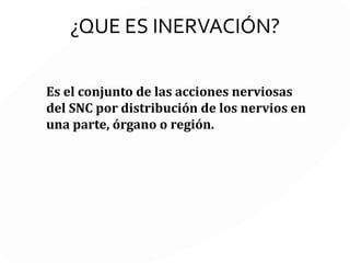 El sistema nervioso somático sólo tiene una neurona entre el sistema nervioso
central y el órgano objetivo, mientras que el sistema nervioso autónomo emplea
dos neuronas en la conexión.
 