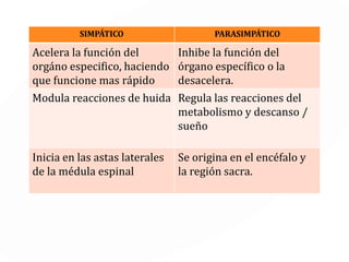 EL SISTEMA NERVIOSO
Encéfalo y
Médula
Espinal
PERIFÉRICOCENTRAL
Somático Autónomo
Nervios
Aferentes
Nervios
Eferentes
Nervios
Aferentes
Nervios
Eferentes
SN
Parasimpático
SN
Simpático
 