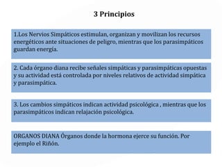 SIMPÁTICO PARASIMPÁTICO
Acelera la función del
orgáno especifico, haciendo
que funcione mas rápido
Inhibe la función del
órgano específico o la
desacelera.
Modula reacciones de huida Regula las reacciones del
metabolismo y descanso /
sueño
Inicia en las astas laterales
de la médula espinal
Se origina en el encéfalo y
la región sacra.
 