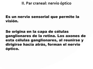 I. Par craneal: nervio olfatorio
Es un nervio sensorial que da origen al
sentido del olfato.
Las fibras del nervio olfatorio se originan
en las células de la mucosa olfatoria
ubicada en la porción superior de las
fosas nasales.
 