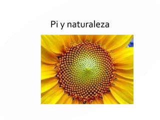 Pi y naturaleza
 