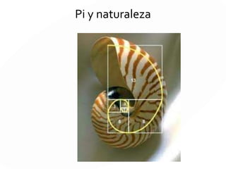 Pi y naturaleza
 