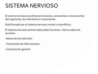 SISTEMA NERVIOSO
El sistema nervioso coordina las funciones, conscientes e inconscientes
del organismo, las voluntarias e involuntarias.
Está formado por el sistema nervioso central y el periférico.
El sistema nervioso central realiza altas funciones. Lleva a cabo tres
acciones:
-Detección de estímulos
-Transmisión de informaciones
-Coordinación general
 