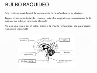 VALVULA DE HAKIM
Neurocirujano e investigador nacido en
Barranquilla, el 4 de junio de 1929. Salomón
Hakim
Realizó un gran aporte a la ingeniería
biomédica ya que introdujo a la práctica
neuroquirúrgica nuevos sistemas de manejo
del líquido cefaloraquídeo, como la válvula
de Hakim de presión fija, y diseñó la de
presión.
 