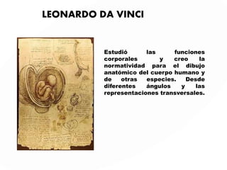 LEONARDO DA VINCI
Estudió las funciones
corporales y creo la
normatividad para el dibujo
anatómico del cuerpo humano y
de otras especies. Desde
diferentes ángulos y las
representaciones transversales.
 