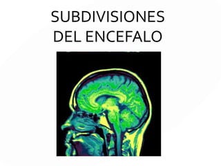 LÓBULO
FRONTAL
b. Corteza
prefrontal
 