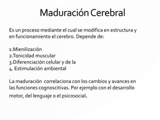 Mesencéfalo
- El mesencéfalo o cerebro medio – tiene una
longitud de 2.5 cm.
Comunica al puente y el cerebelo con
estructuras diencefálicas.
- Formado por los Pedúnculos Cerebrales, que
unen los hemisferios cerebrales con el tronco
encefálico.
Pedúnculos Cerebrales:
Conjunto de fibras que van de la corteza
cerebral a diferentes centros
subcorticales.
 