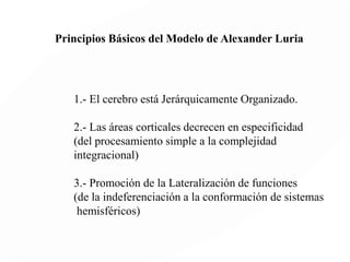 Tono muscular
Es un estado permanente de contracción
parcial, pasiva y continua en el que se
encuentran los músculos aún cuando no
realicen una función específica.
Durante el sueño, el tono muscular baja
porque el cuerpo está más relajado y
durante las horas de vigilia, aumenta
para mantener la postura del cuerpo
según cada movimiento que se realiza.
 