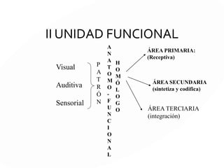 I UNIDAD FUNCIONAL
 