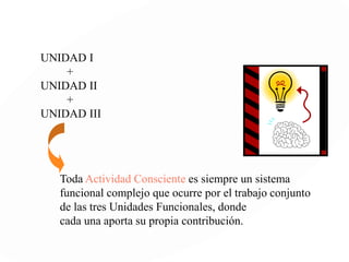 III UNIDAD FUNCIONAL
 