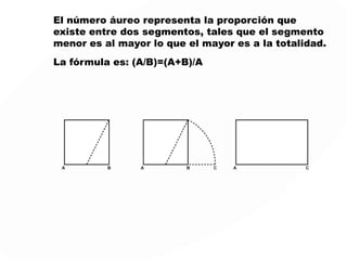 El número áureo representa la proporción que
existe entre dos segmentos, tales que el segmento
menor es al mayor lo que el mayor es a la totalidad.
La fórmula es: (A/B)=(A+B)/A
 