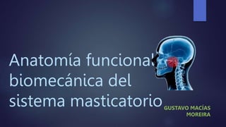 Anatomía funcional y
biomecánica del
sistema masticatorio
 