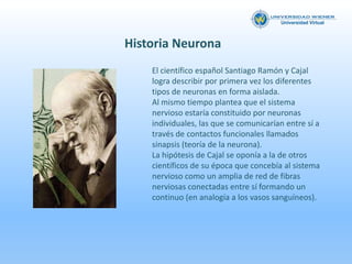 Neuroanatomia y neurobiologia trabajo n 2
