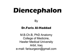 By
Dr.Faris Al-Haddad
M.B.Ch.B, PhD Anatomy
College of Medicine,
Hawler Medical University
Arbil, Iraq
e-mail: farisurgeon@gmail.com
Diencephalon
 