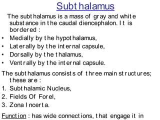 Diencephalon | PPT