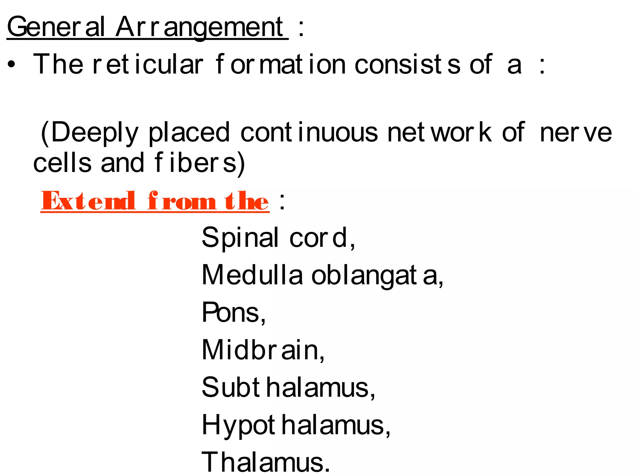 Basal Ganglia, Reticular Formation, Limbic System | PPT