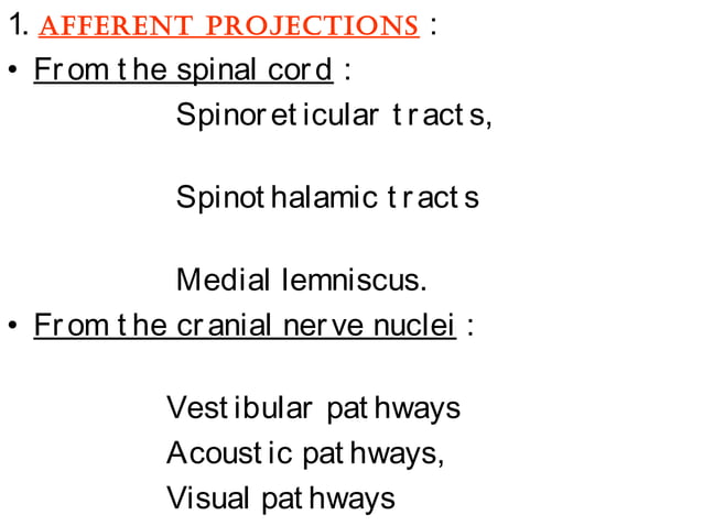 Basal Ganglia, Reticular Formation, Limbic System | PPT
