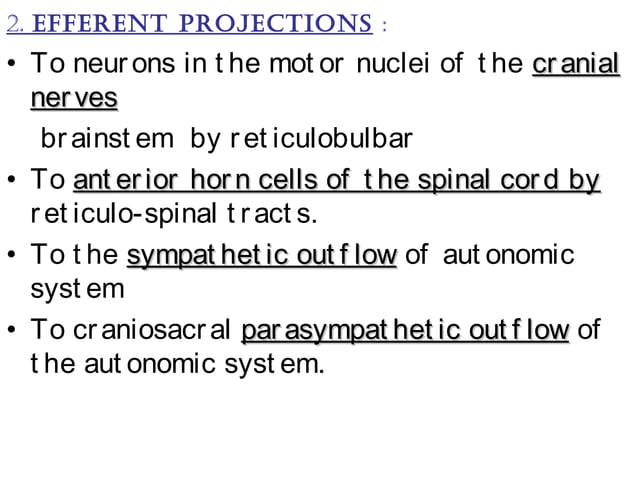 Basal Ganglia, Reticular Formation, Limbic System | PPT