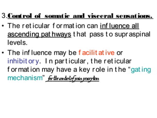 Basal Ganglia, Reticular Formation, Limbic System | PPT