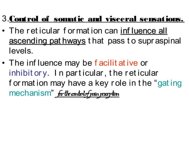 Basal Ganglia, Reticular Formation, Limbic System | PPT