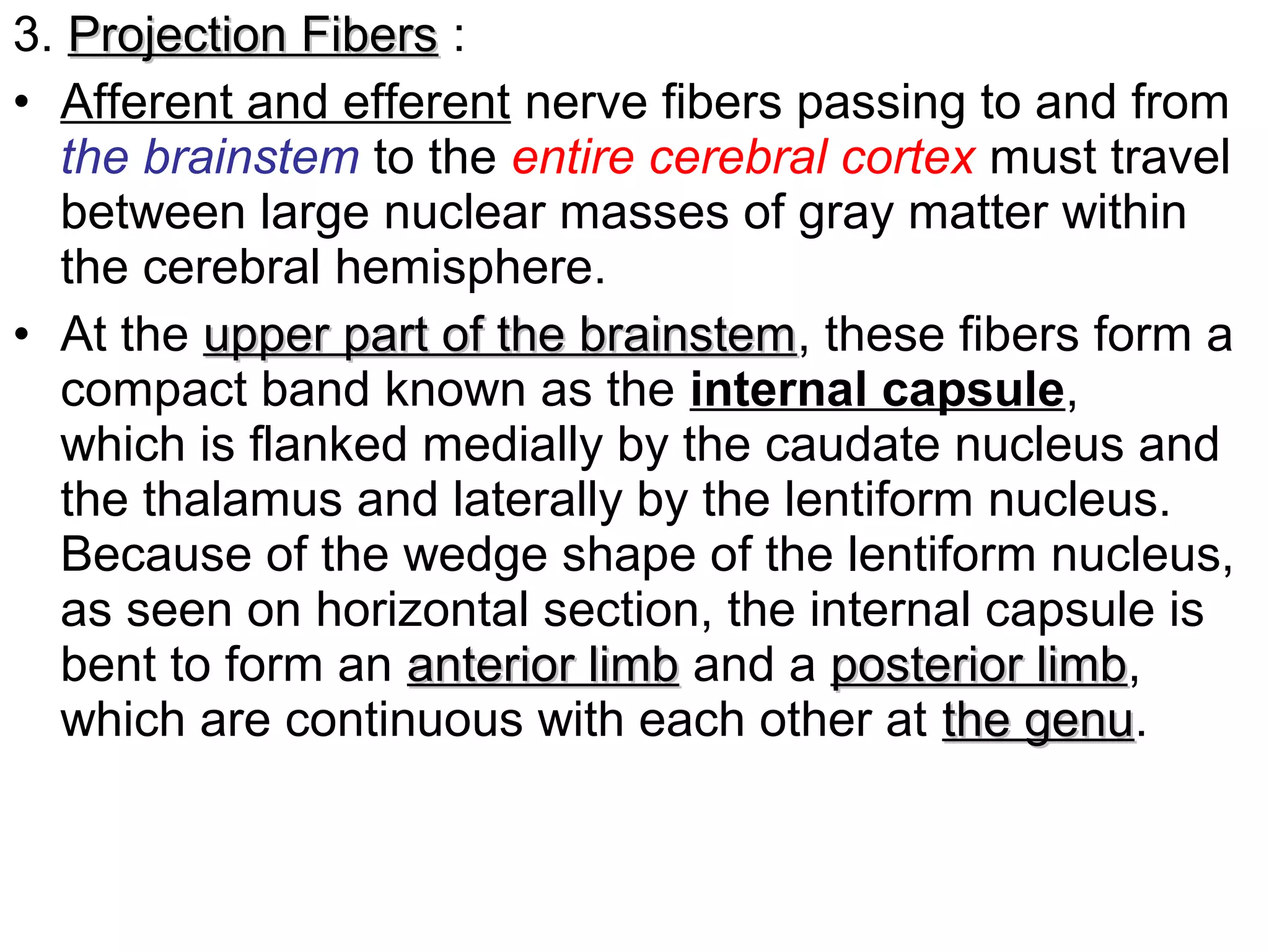 3. Projection FibersProjection Fibers :
• Afferent and efferent nerve fibers passing to and from
the brainstem to the entire cerebral cortex must travel
between large nuclear masses of gray matter within
the cerebral hemisphere.
• At the upper part of the brainstemupper part of the brainstem, these fibers form a
compact band known as the internal capsule,
which is flanked medially by the caudate nucleus and
the thalamus and laterally by the lentiform nucleus.
Because of the wedge shape of the lentiform nucleus,
as seen on horizontal section, the internal capsule is
bent to form an anterior limbanterior limb and a posterior limbposterior limb,
which are continuous with each other at the genuthe genu.
 