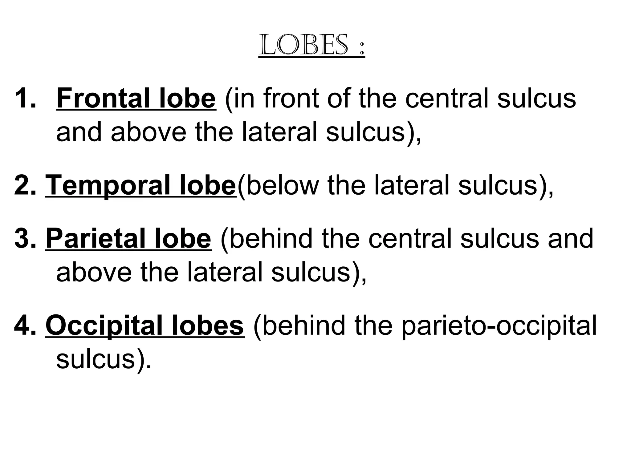 lobeS :
1. Frontal lobe (in front of the central sulcus
and above the lateral sulcus),
2. Temporal lobe(below the lateral sulcus),
3. Parietal lobe (behind the central sulcus and
above the lateral sulcus),
4. Occipital lobes (behind the parieto-occipital
sulcus).
 