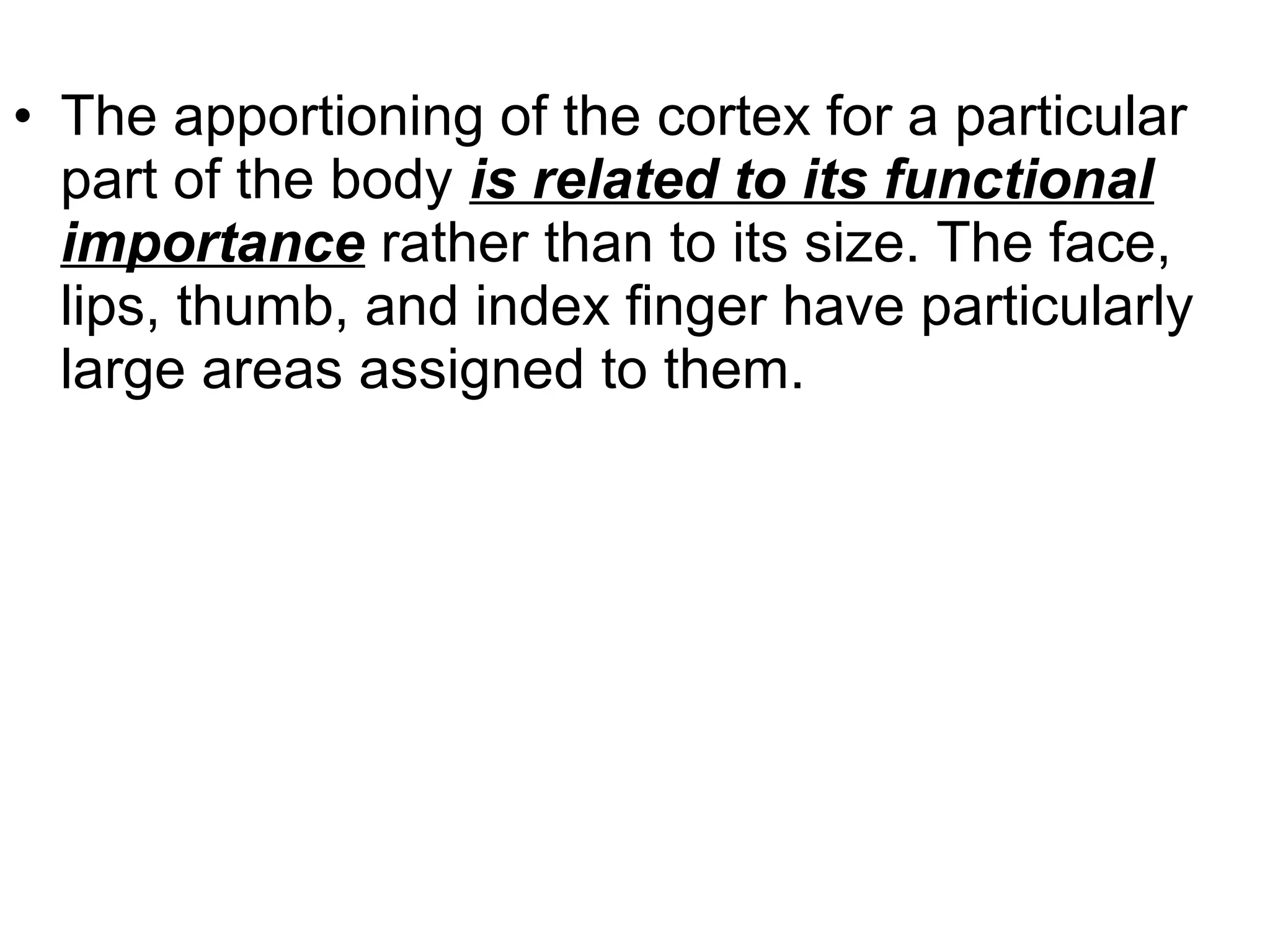 • The apportioning of the cortex for a particular
part of the body is related to its functional
importance rather than to its size. The face,
lips, thumb, and index finger have particularly
large areas assigned to them.
 