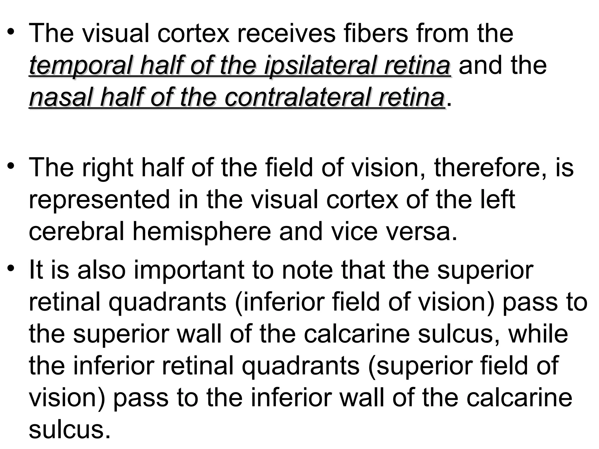 • The visual cortex receives fibers from the
temporal half of the ipsilateral retinatemporal half of the ipsilateral retina and the
nasal half of the contralateral retinanasal half of the contralateral retina.
• The right half of the field of vision, therefore, is
represented in the visual cortex of the left
cerebral hemisphere and vice versa.
• It is also important to note that the superior
retinal quadrants (inferior field of vision) pass to
the superior wall of the calcarine sulcus, while
the inferior retinal quadrants (superior field of
vision) pass to the inferior wall of the calcarine
sulcus.
 