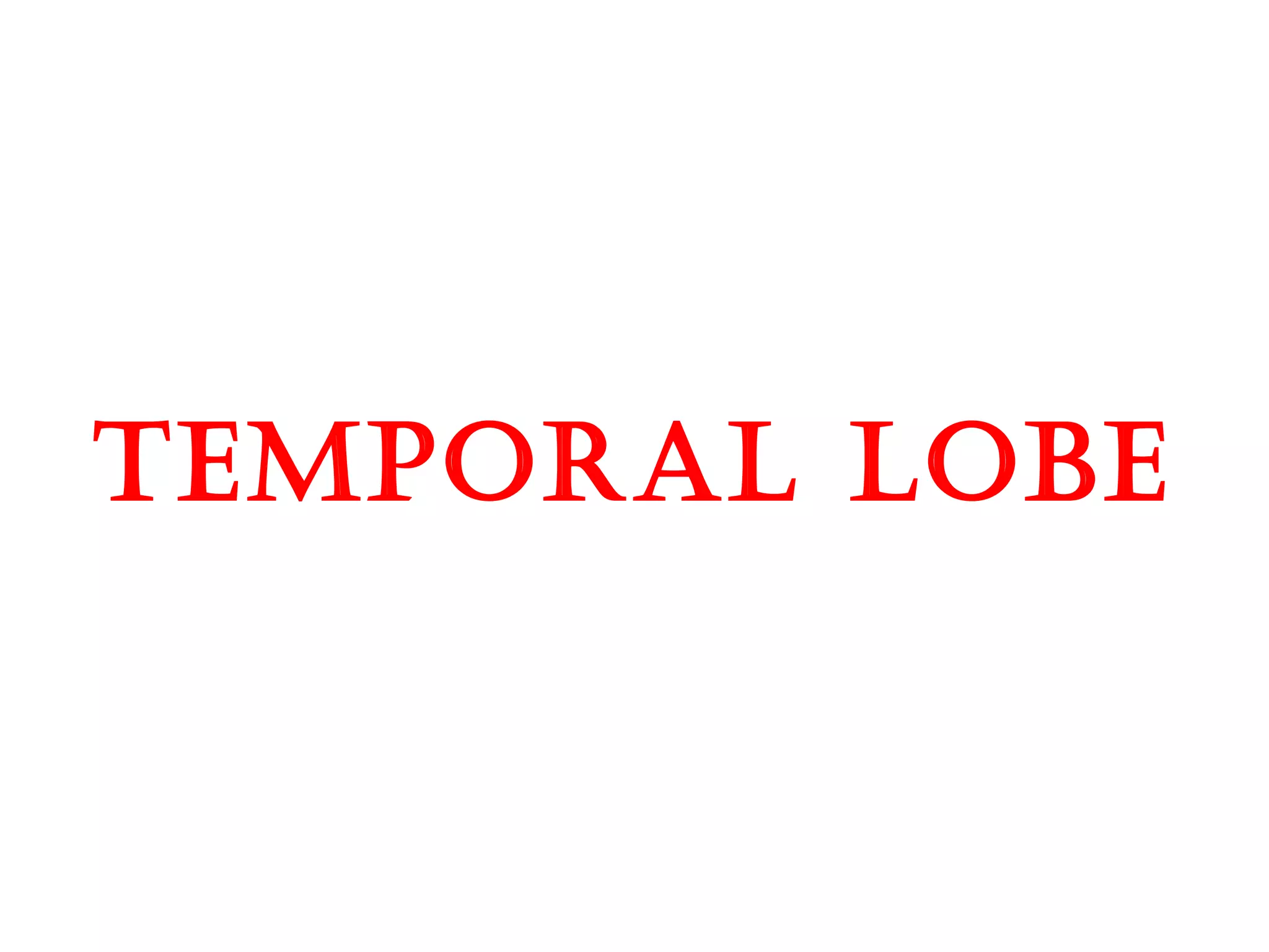 tEmporal lobE
 
