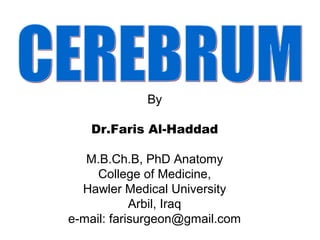 By
Dr.Faris Al-Haddad
M.B.Ch.B, PhD Anatomy
College of Medicine,
Hawler Medical University
Arbil, Iraq
e-mail: farisurgeon@gmail.com
 