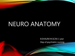 NEURO ANATOMY
B.SHALINI M.SC(N) 1 year
Dep of psychiatric nursing
 