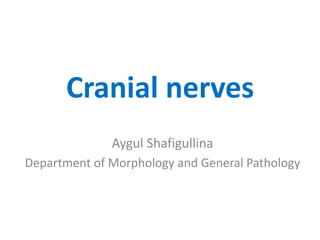 Cranial nerves
Aygul Shafigullina
Department of Morphology and General Pathology
 