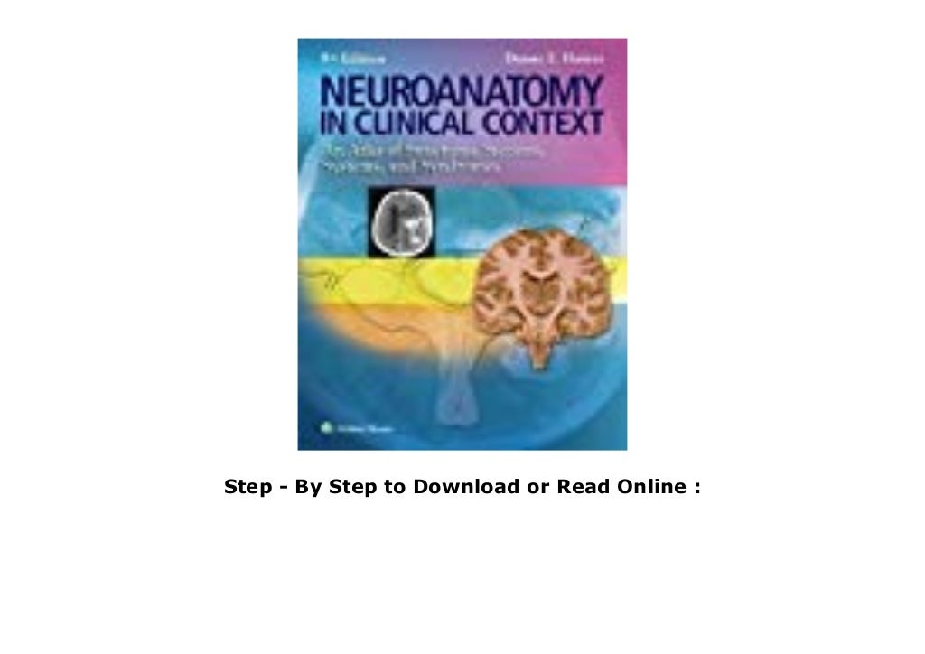 Best Book Neuroanatomy in Clinical Context: An Atlas of Structures ...