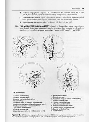 Neuroanatomy   james d. fix