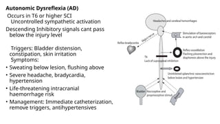 NEUROANATOMY AND APPLIED ANATOMY OF BLADDER.pptx