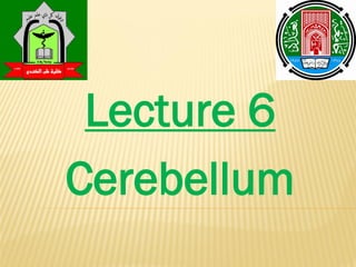6
Lecture
Cerebellum
 