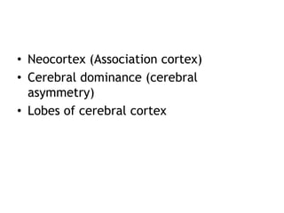 Neuroanatomy Cerebrum summary slide.pptx