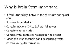 Neuroanatomy for modular-1 (1).pptx HEAD and NECK | PPTX