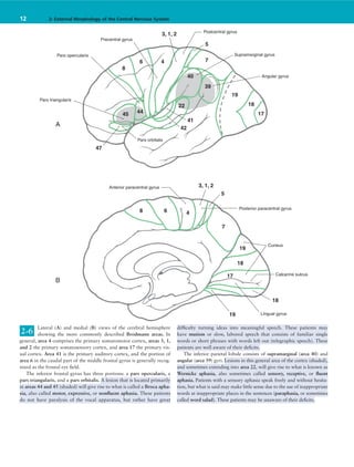 Neuroanatomy in Clinical Context -1 Duane E. Haines (9th Edition).pdf