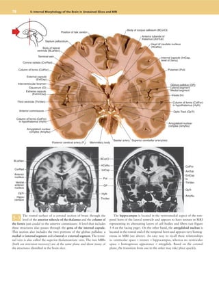 Neuroanatomy in Clinical Context -1 Duane E. Haines (9th Edition).pdf