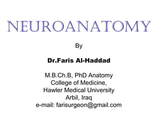 NeuroaNatomy
By
Dr.Faris Al-Haddad
M.B.Ch.B, PhD Anatomy
College of Medicine,
Hawler Medical University
Arbil, Iraq
e-mail: farisurgeon@gmail.com
 