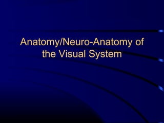 Anatomy/Neuro-Anatomy of
the Visual System
 