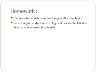 Homework :
Can infection of orbital or facial region affect the brain?
Patient A got paralysis of arm, leg, and face on the left side.
What area was probably affected?
 