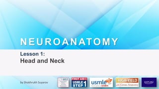 Lesson 1:
Head and Neck
NEUROANATOMY
by Shokhrukh Suyarov
 