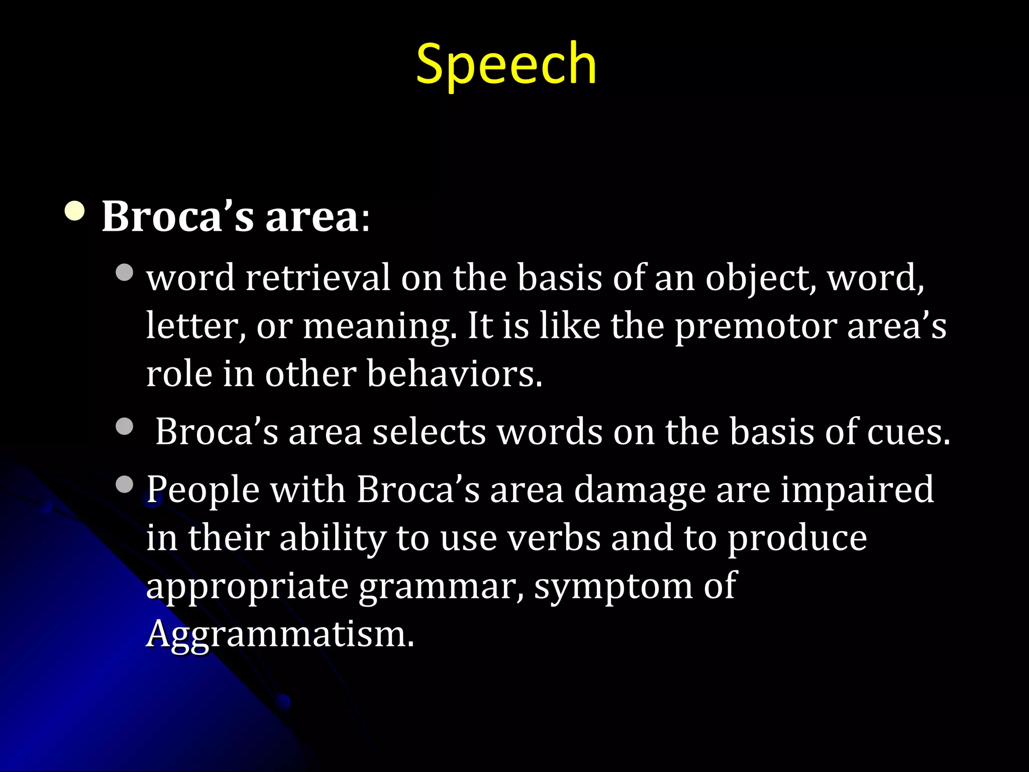 Speech
 Broca’s areaBroca’s area::
word retrieval on the basis of an object, word,word retrieval on the basis of an object, word,
letter, or meaning. It is like the premotor area’sletter, or meaning. It is like the premotor area’s
role in other behaviors.role in other behaviors.
 Broca’s area selects words on the basis of cues.Broca’s area selects words on the basis of cues.
People with Broca’s area damage are impairedPeople with Broca’s area damage are impaired
in their ability to use verbs and to producein their ability to use verbs and to produce
appropriate grammar, symptom ofappropriate grammar, symptom of
Aggrammatism.Aggrammatism.
 