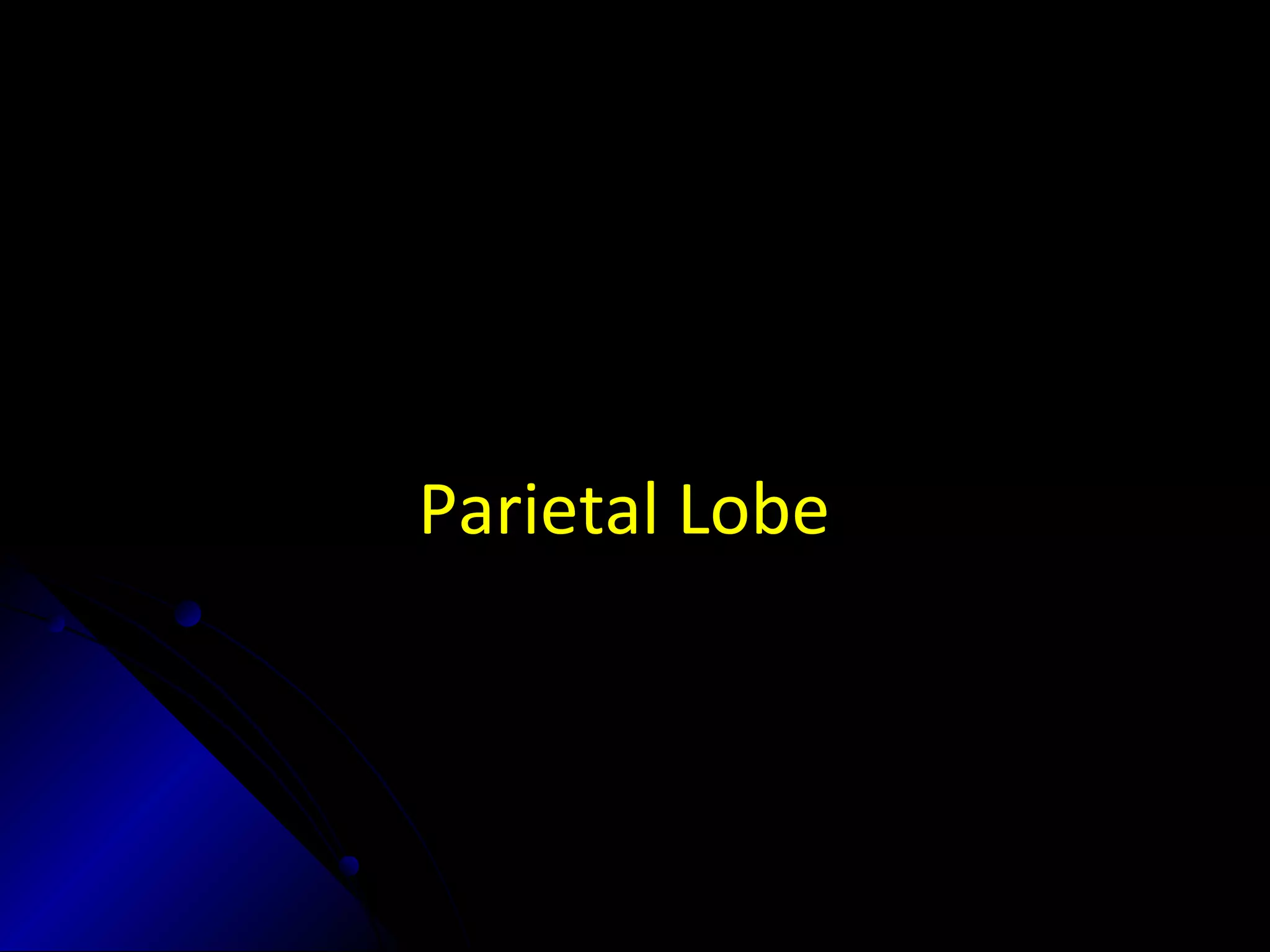 Parietal Lobe
 