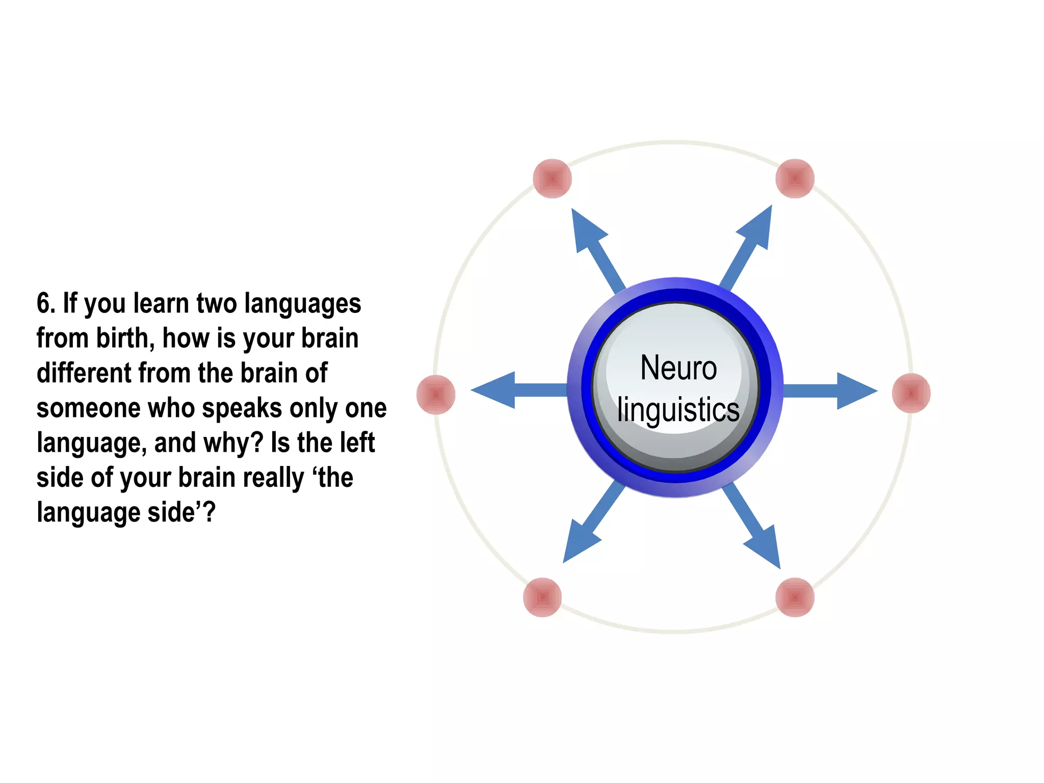 6. If you learn two languages
from birth, how is your brain
different from the brain of
someone who speaks only one
language, and why? Is the left
side of your brain really ‘the
language side’?
Neuro
linguistics
 