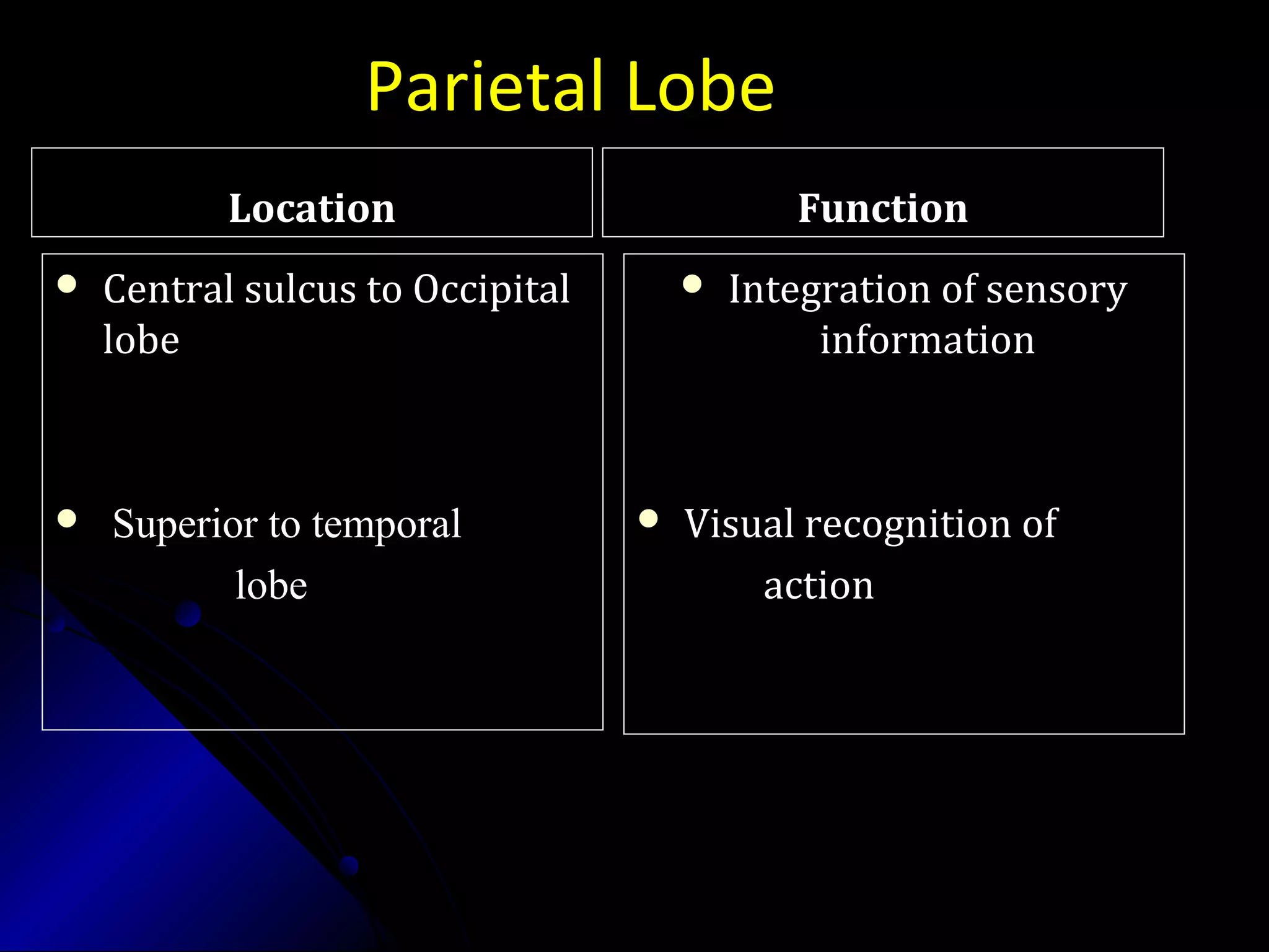 Parietal Lobe
LocationLocation
 Central sulcus to OccipitalCentral sulcus to Occipital
lobelobe
 Superior to temporalSuperior to temporal
lobelobe
FunctionFunction
 Integration of sensoryIntegration of sensory
informationinformation
 Visual recognition ofVisual recognition of
actionaction
 