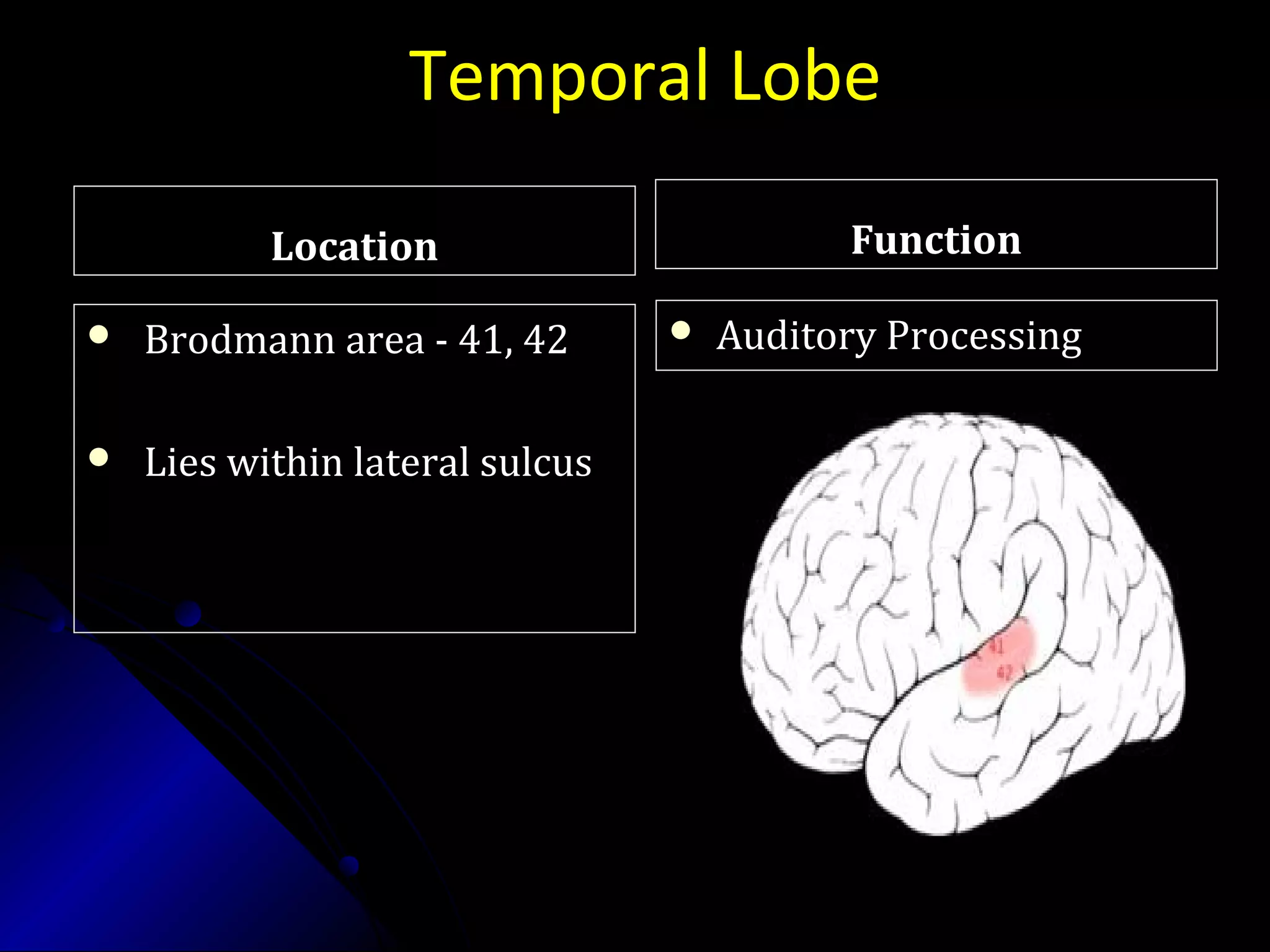 Temporal Lobe
LocationLocation
 Brodmann area - 41, 42Brodmann area - 41, 42
 Lies within lateral sulcusLies within lateral sulcus
FunctionFunction
 Auditory ProcessingAuditory Processing
 